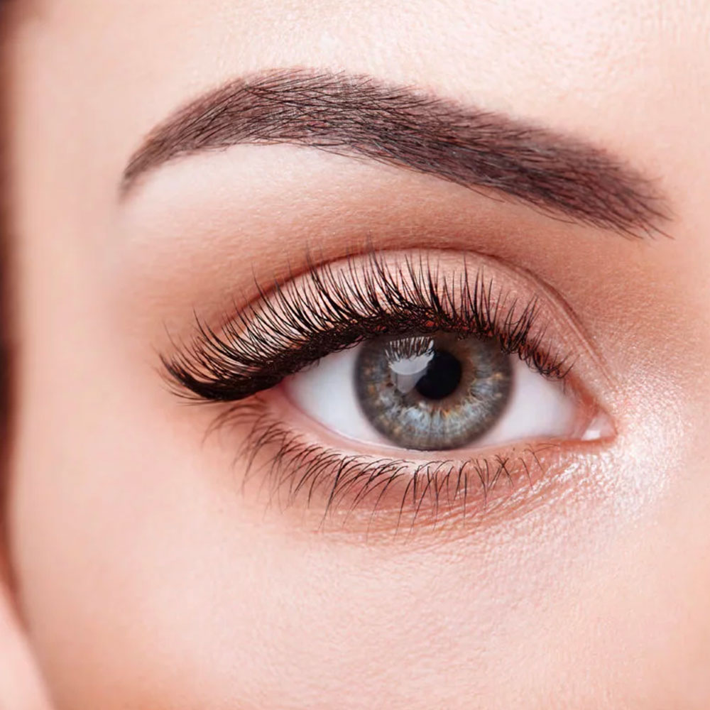 Restructuration sourcils + teinture au henné végétal.